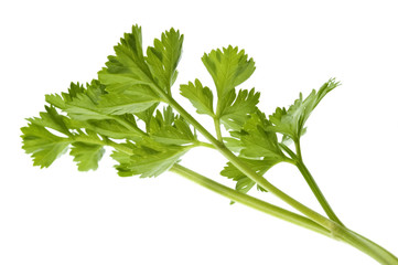fresh parsley