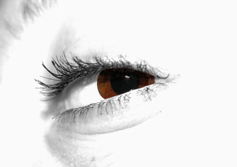 brown eye