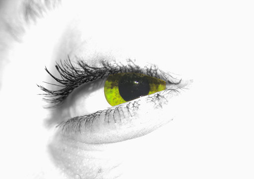 yellow eye