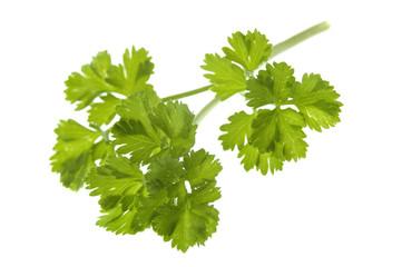 fresh parsley