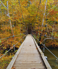 wooden bridge