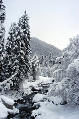 dombai - a fantastic corner of caucasus