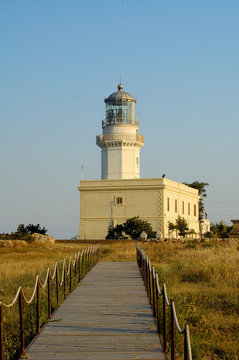 way to the light