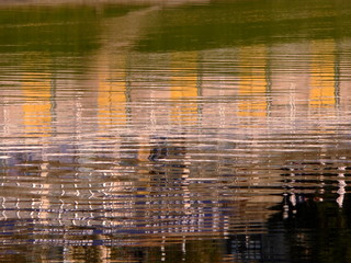 reflections on water