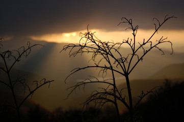 Obraz premium life and death