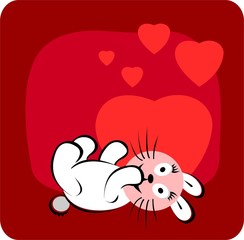 rabbit
