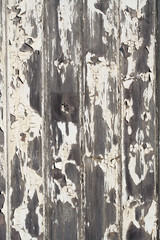 peeling paint background © Lance Bellers