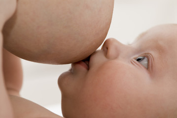 breast feeding of the newborn baby. - obrazy, fototapety, plakaty