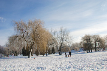 snowy winter landscape