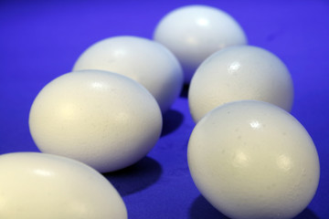 eggs!