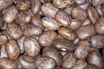 dried pinto beans