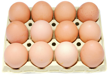 eggs