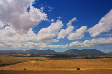 Obraz premium haybales #4