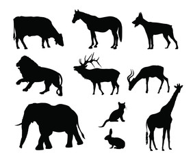 animali silhouette