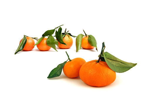 mandarini con foglie