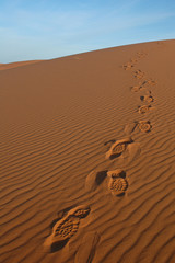 footsteps in the sahara desert
