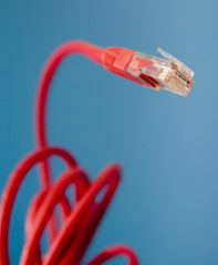 Fototapeta na wymiar Złącze Ethernet CAT5