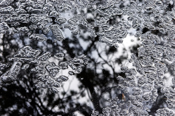 in black-white tones