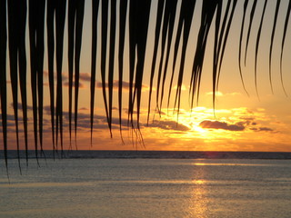 couché de soleil