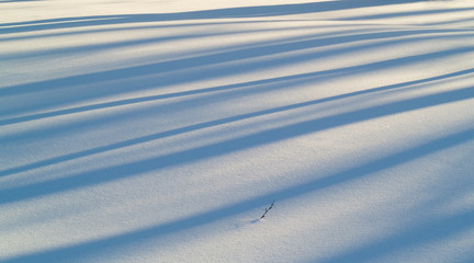 snow and shadows