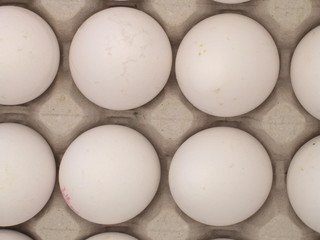 eier auf karton lagen