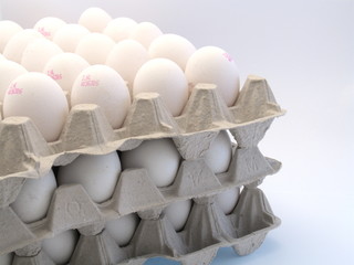 Fototapeta na wymiar eier auf karton lagen