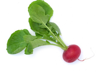 radischen gemüse roh