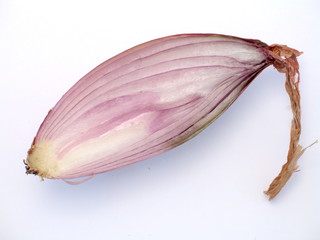 schalotte halbiert gemüse