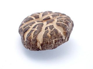 getrokneter shiitake pilz