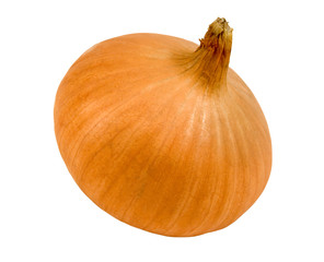 onion