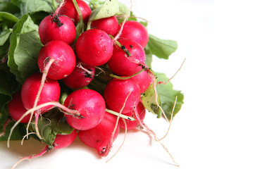 fresh radishes