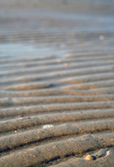 texture of the sand dunes for cover
