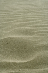 texture of the sand dunes for cover