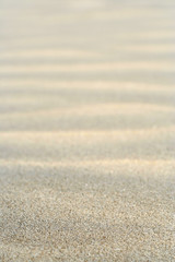 Fototapeta na wymiar texture of the sand dunes for cover