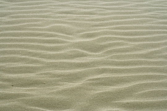 texture of the sand dunes for cover
