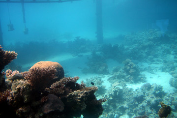eilat undersea sail