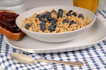 oat cereal with blueberries, toast with raspberry jam