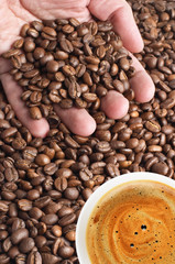 palm with coffee beans and cup of coffee