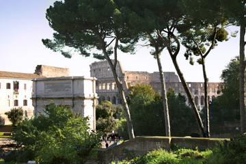 Fototapeta premium coluseum from a distance