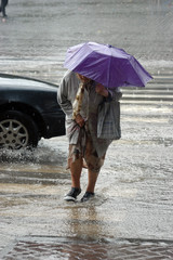 the old woman under a umbrella passes street during a strong rai