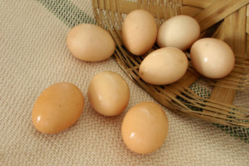 eggs