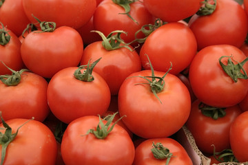 red tomatoes