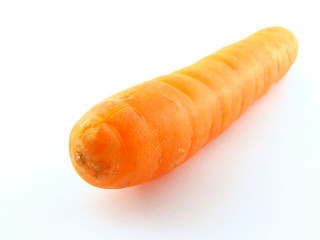 carrot