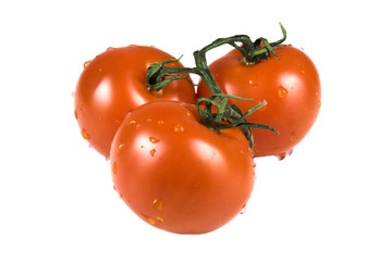 red tomatoes