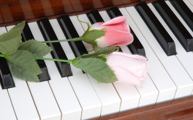 piano and flowers