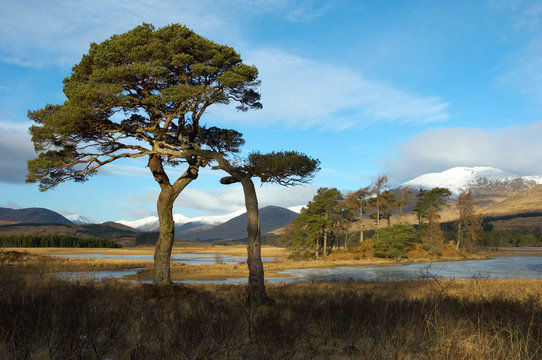 loch tulla