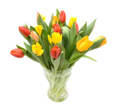 Fototapeta colourful tulips