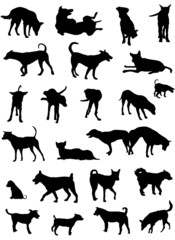 dog silhouettes