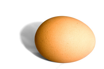 brown egg
