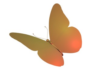 butterfly papillon brun